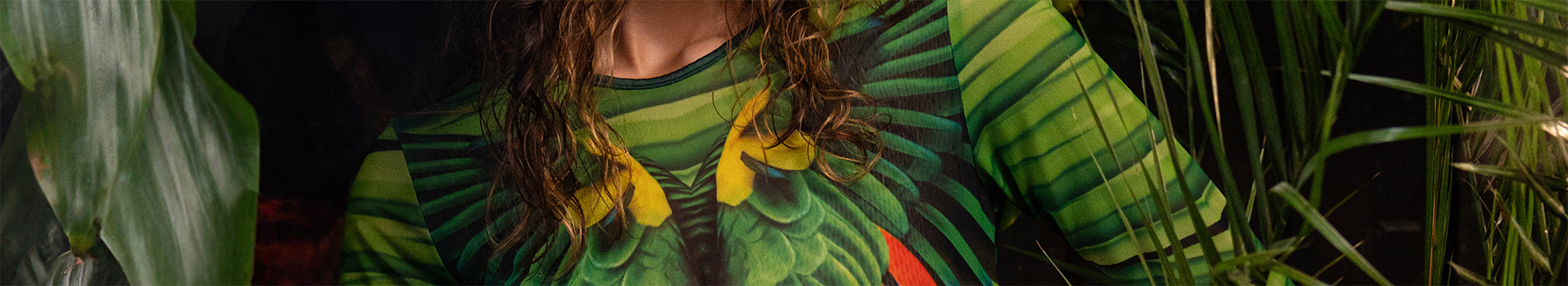 collection-banner-image