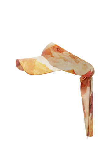 Visor